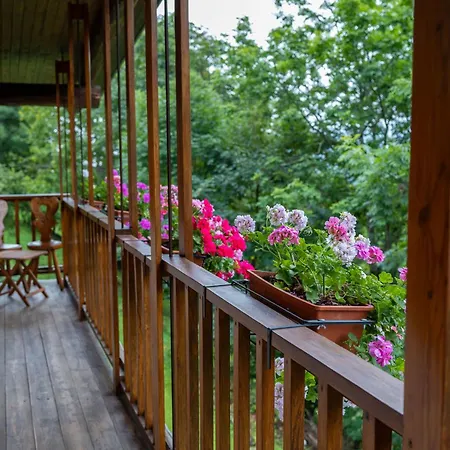 La Finestra Sul Monviso Apartment *